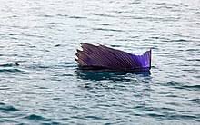 LuckySailFish